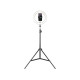  Havit ST7012 PRO Tripod With 10 Inches RING LIGHT